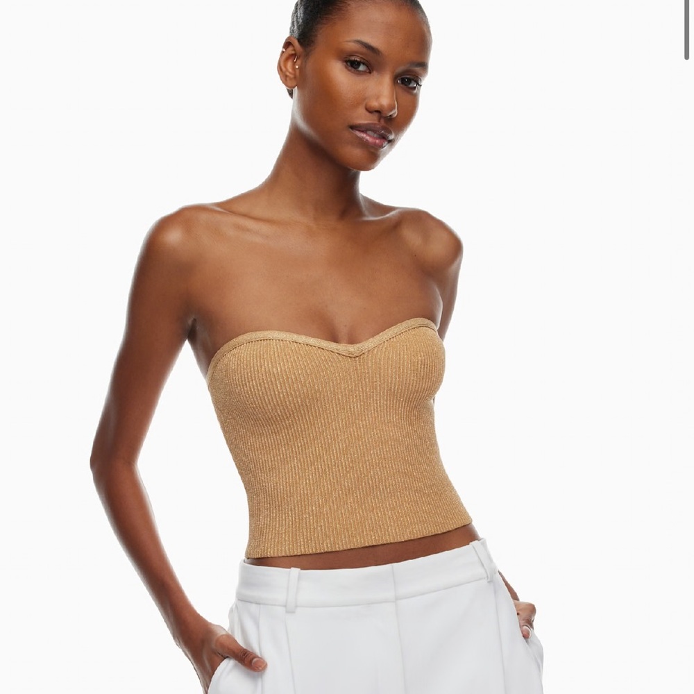 Aritzia brown top